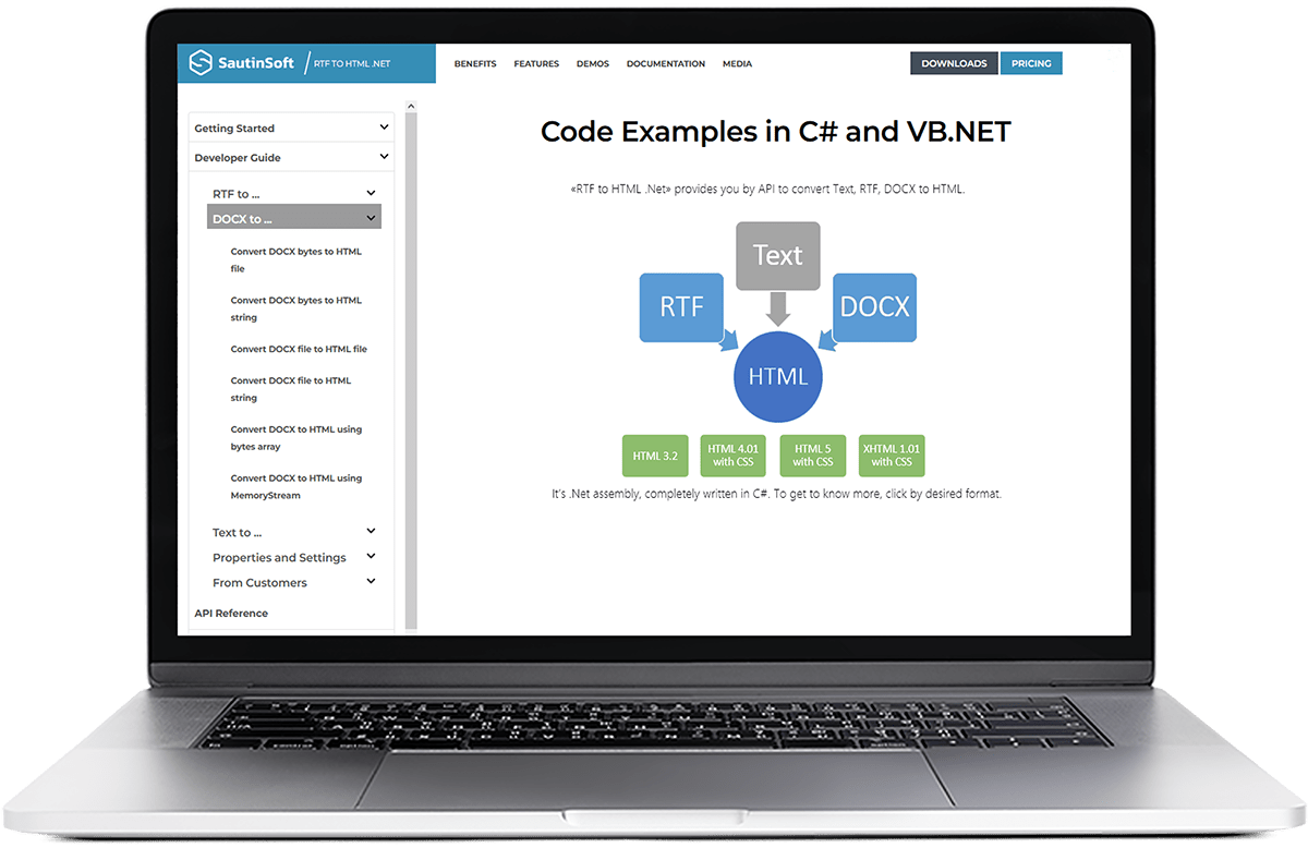 RTF to HTML .Net code-examples RTF to HTML .Net code-examples