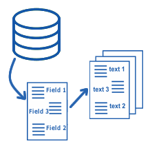 Report using database