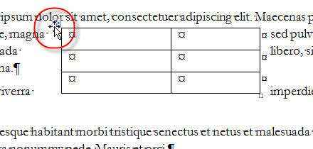 2010 Tables Wrapping