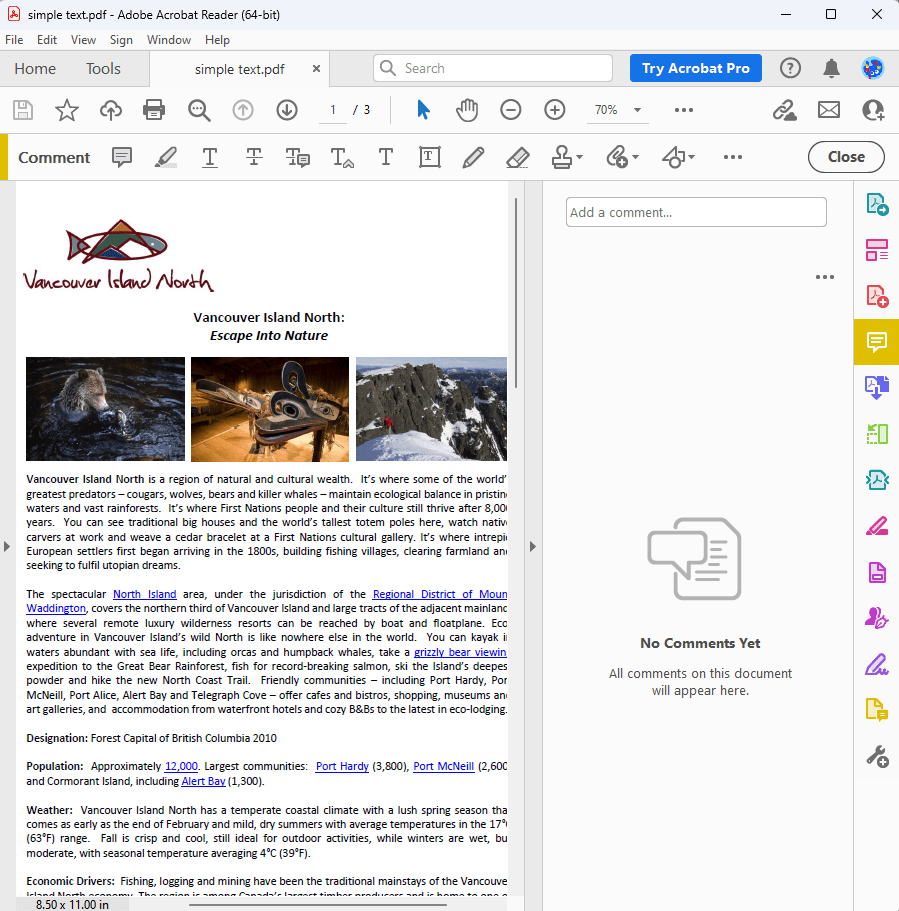 insert a picture content control