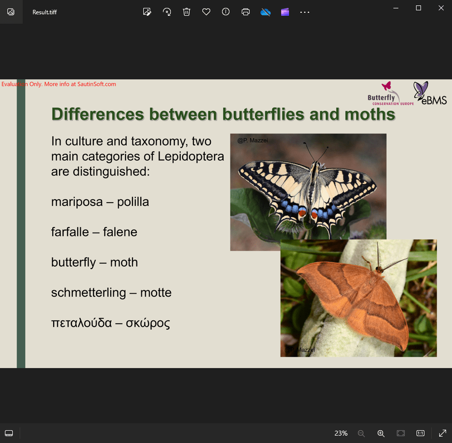 find and replace by different output pdf
