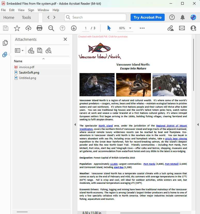 Embed from files output