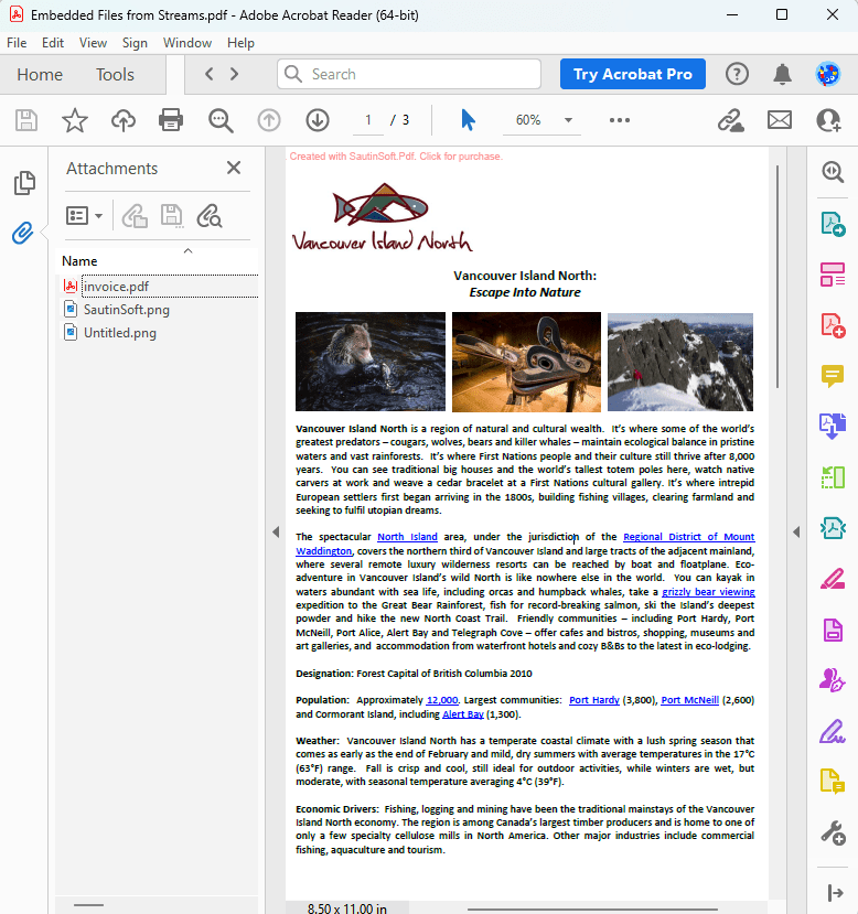 Embed from stream output