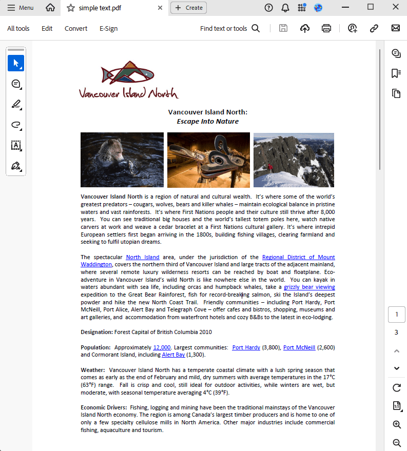 reading additional information input - pdf