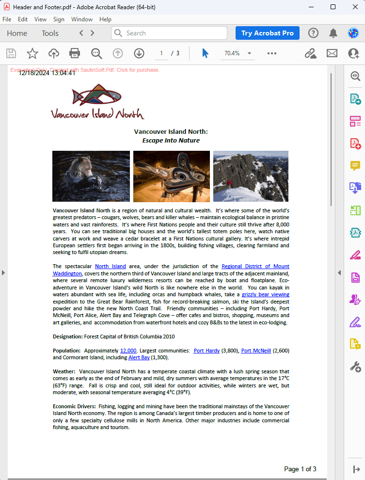 Header Footer output